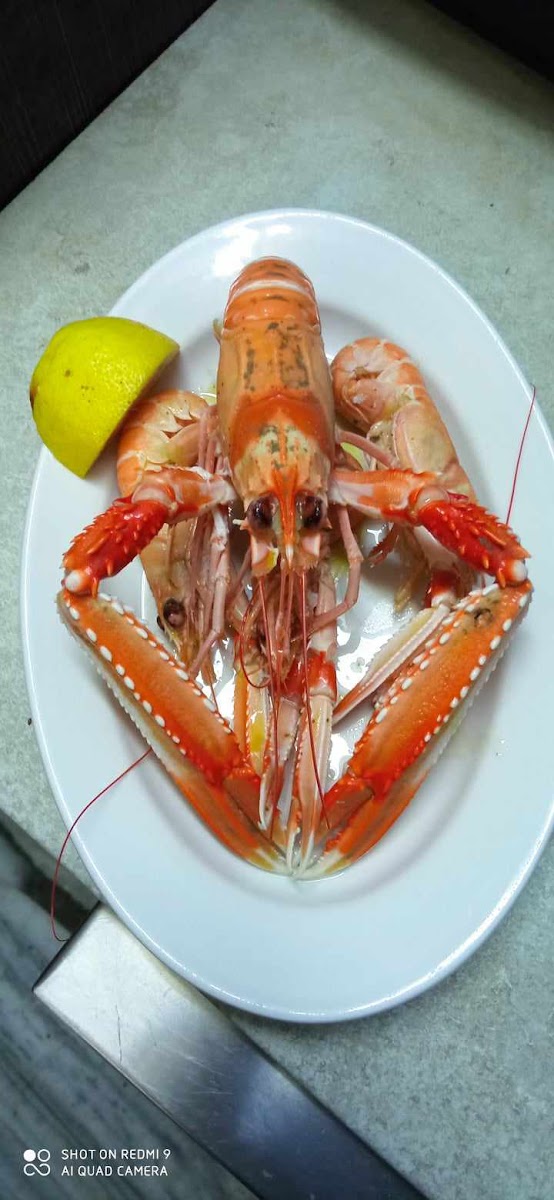 Trechantiri Agia Kiriaki Photos 2